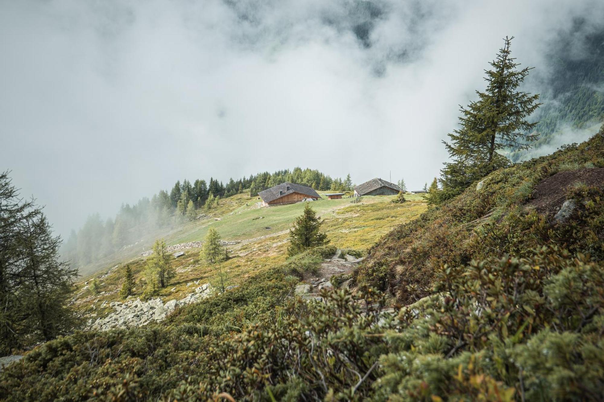 Apparthotel Sonnwies Selva dei Molini Esterno foto